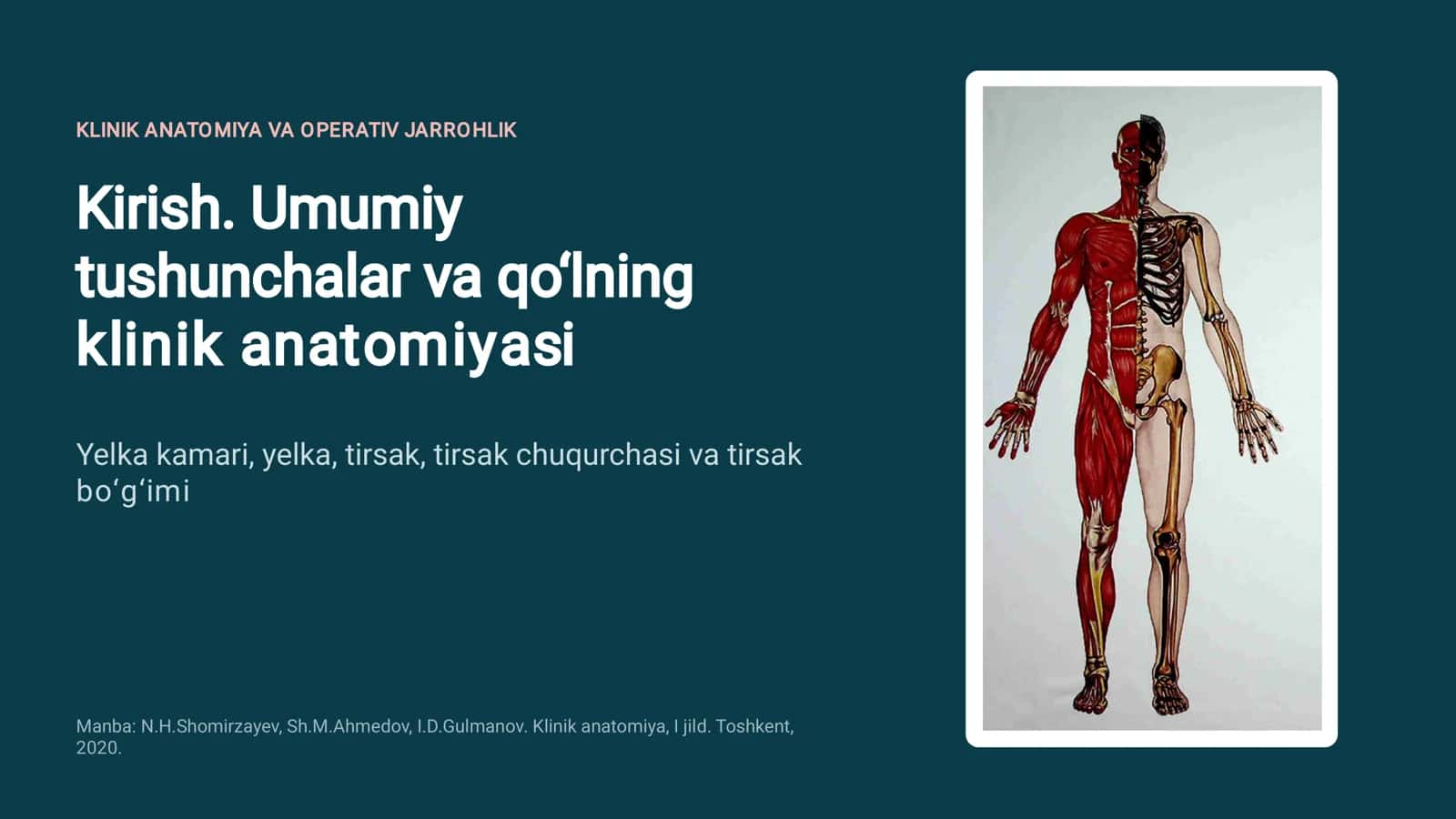 KLINIK ANATOMIYA VA OPERATIV JARROHLIK