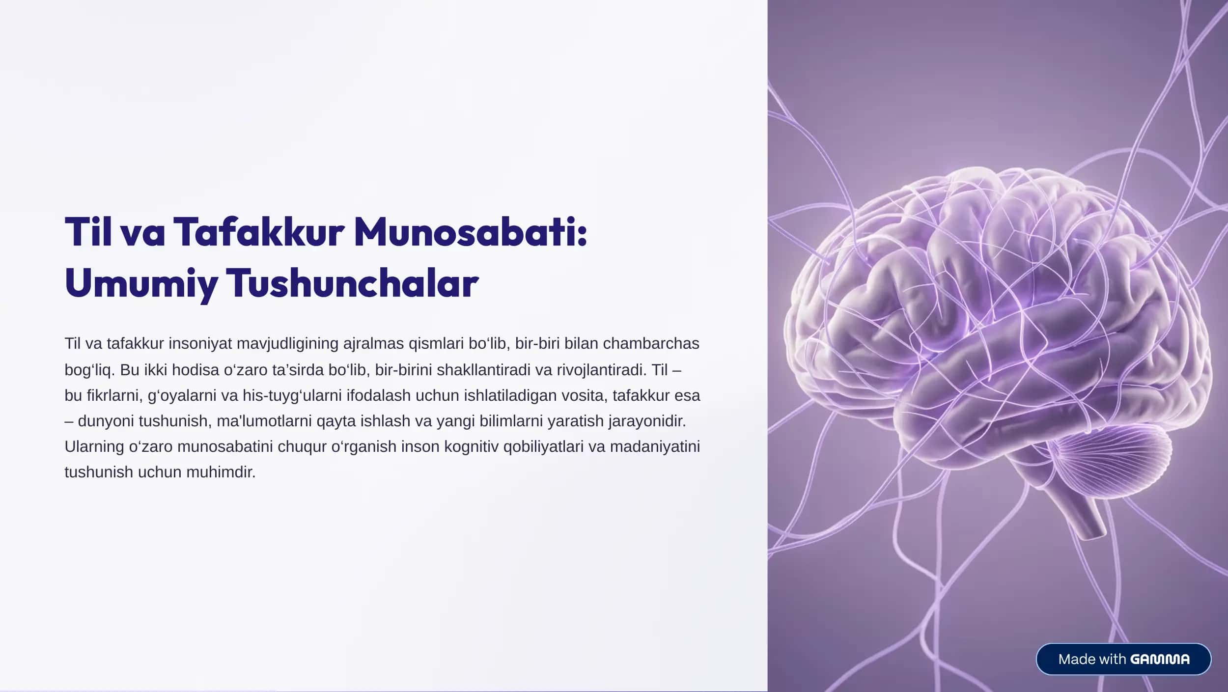 Til va Tafakkur Munosabati