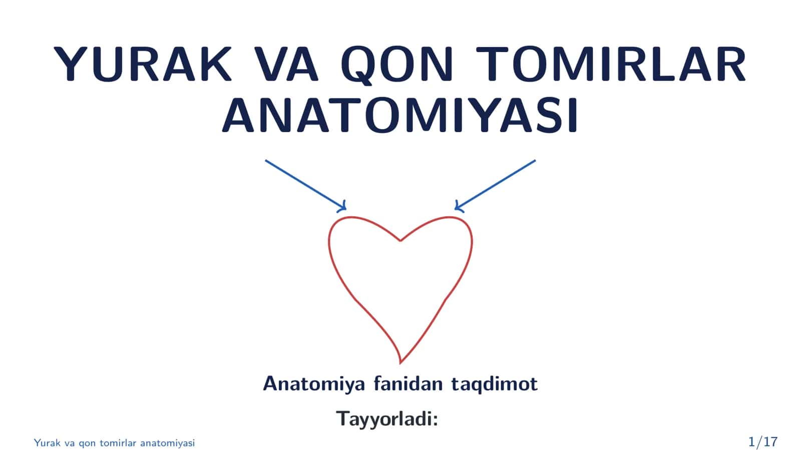 Yurak va qon tomirlar anatomiyasi