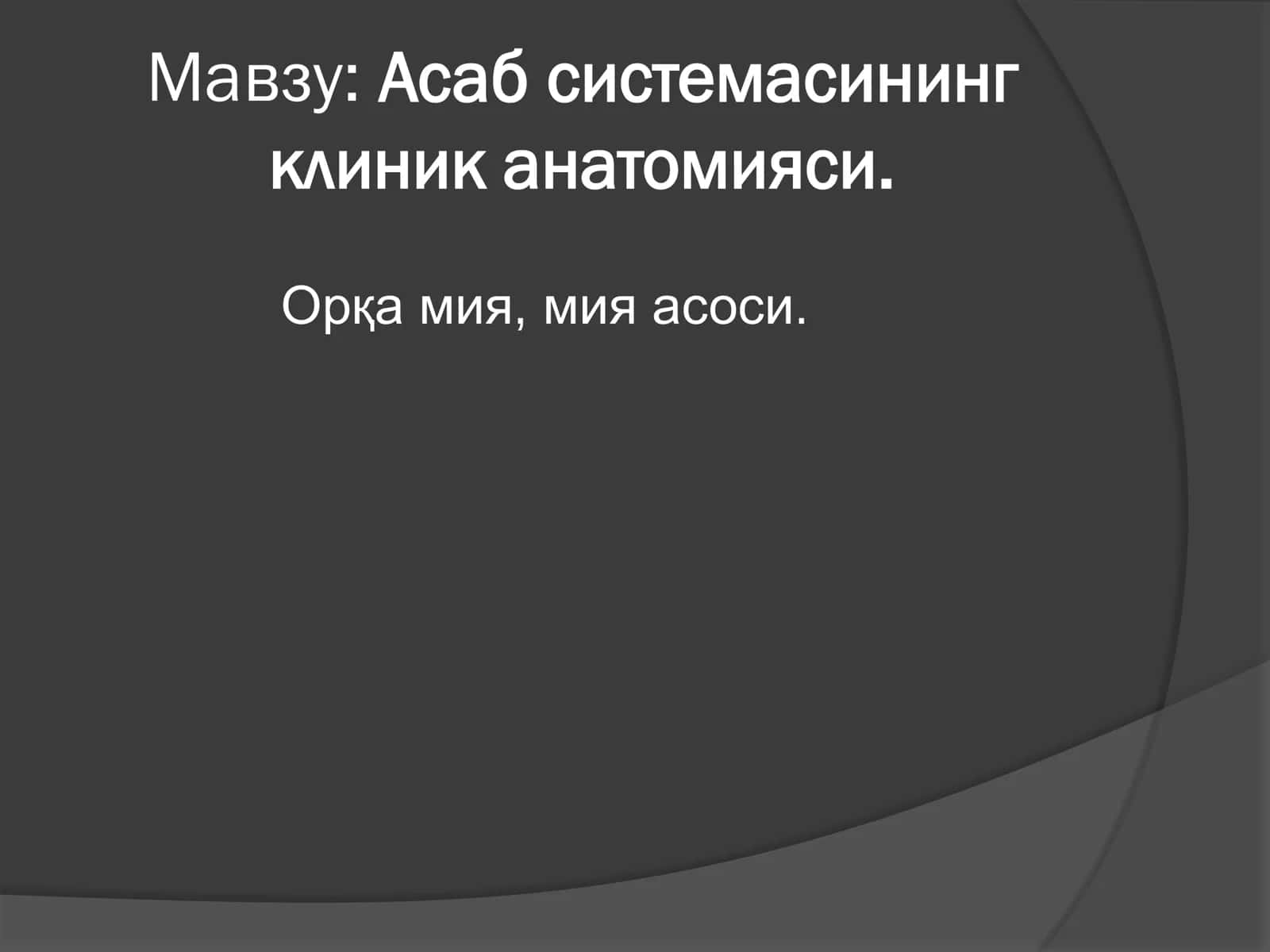 Orqa miya, miya asoslari