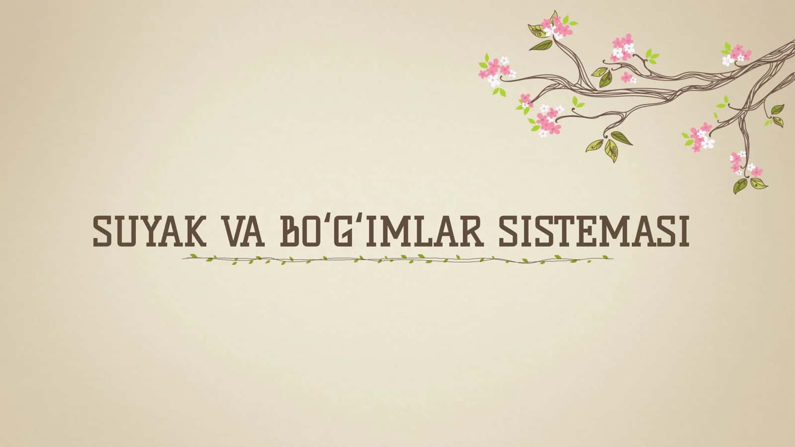 SUYAK VA BOʻGʻIMLAR SISTEMASI