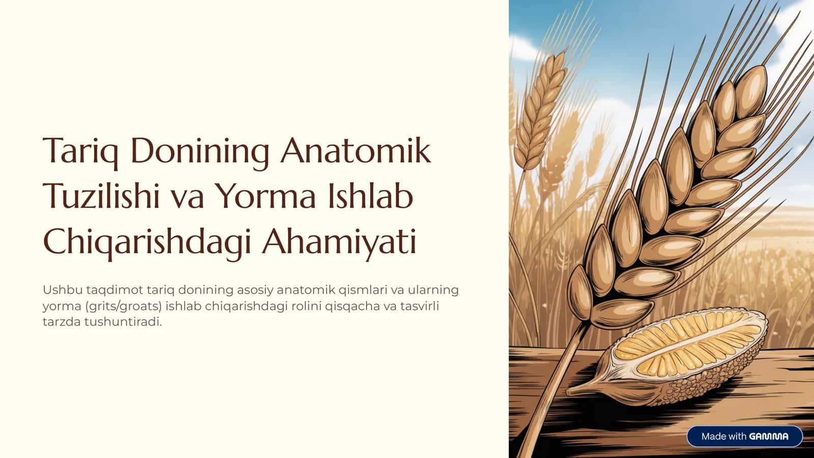 Tariq Donining Anatomik Tuzilishi va Yorma Ishlab Chiqarishdagi Ahamiyati