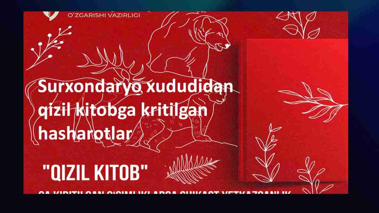 Surxondaryo xududidan qizil kitobga kritilgan hasharotlar