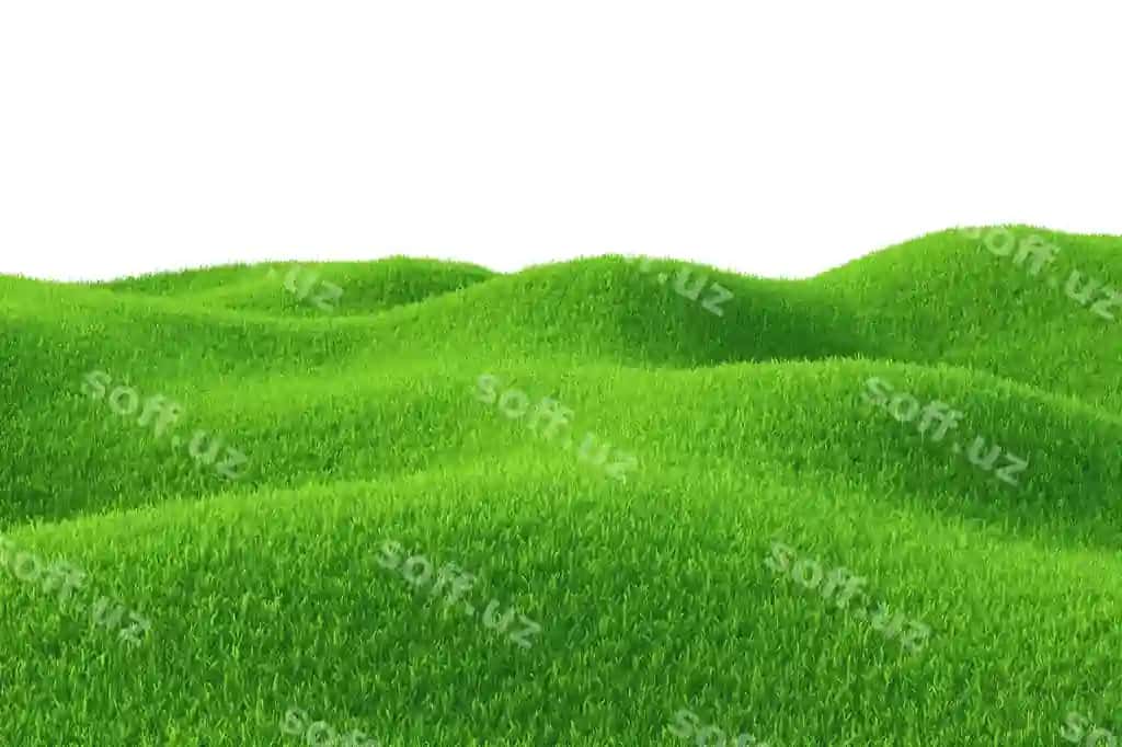 Yashil chaman maydoni | Green grass field