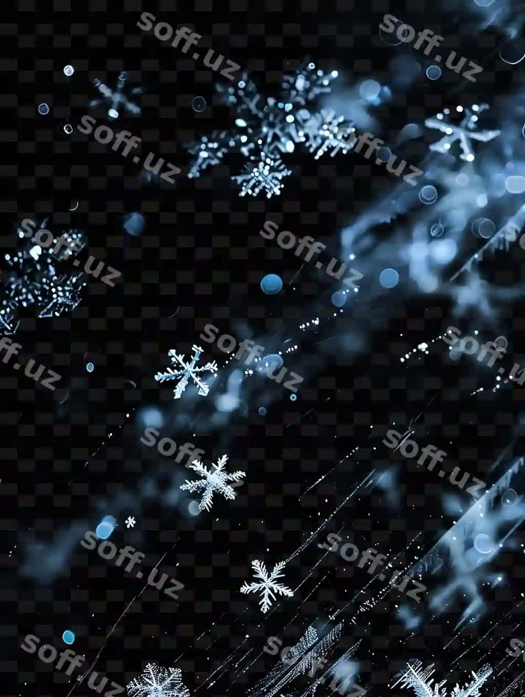 Qor bobolari qora orqa fonda | Snowflakes black background