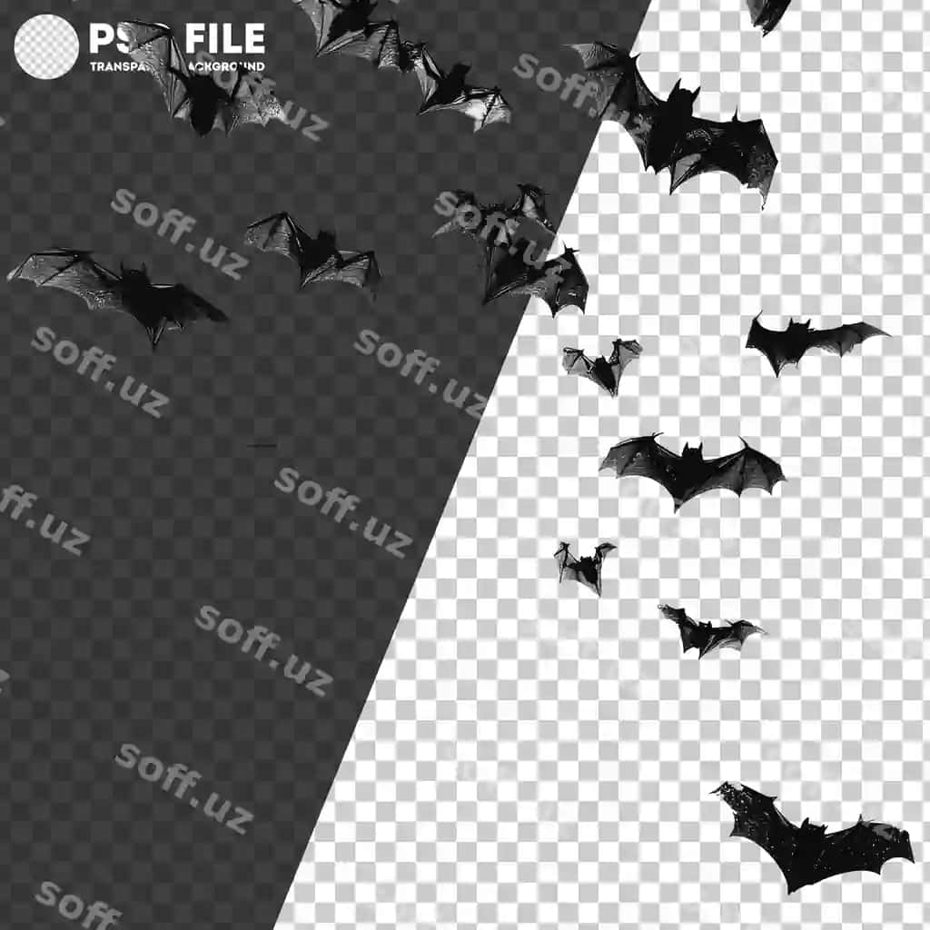 Chimildiqchilar kechki anqarangli osmon o'rtasidan uchish | Png bats flying across clear sky dusk