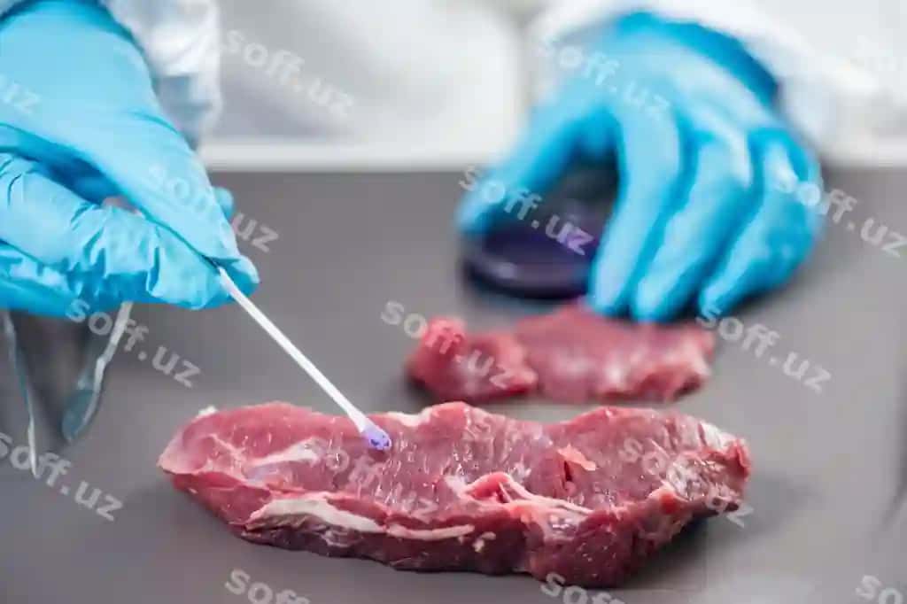 Ovqat xavfsizligi | Food safety