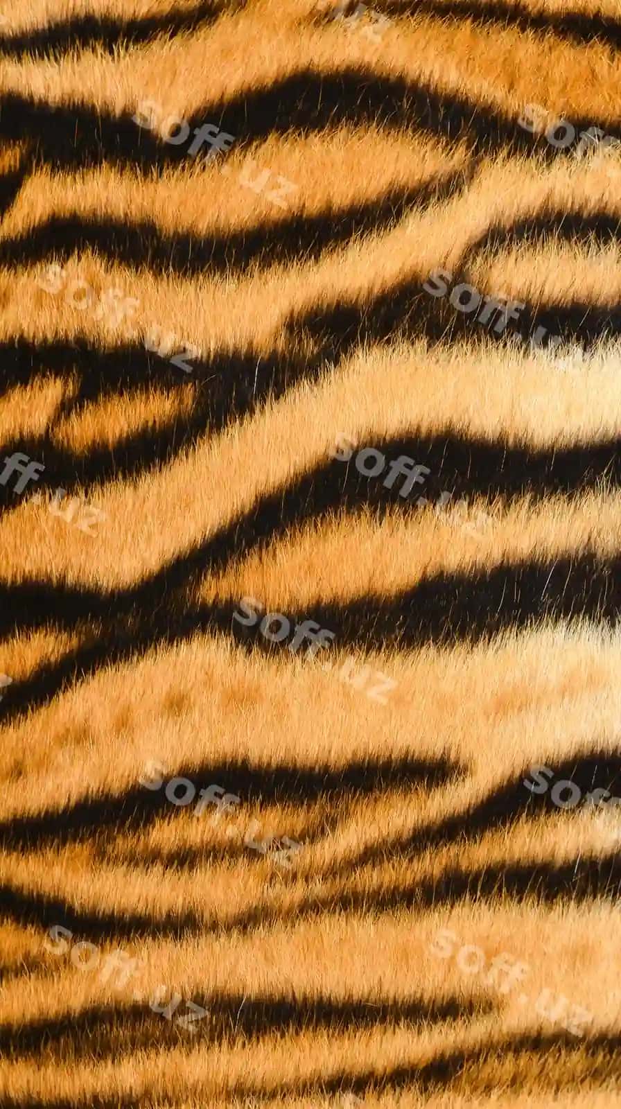 Bengal barvati olovchi paltari | Bengal tiger fur