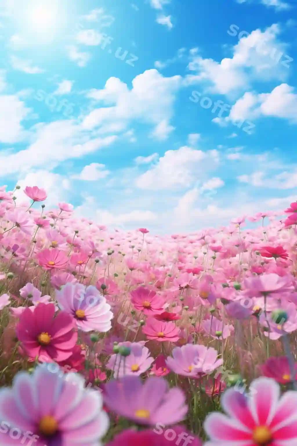 Maydon pink gullar va ko'k osmon foni bilan generative ai | There is field pink flowers with blue sky background generative ai