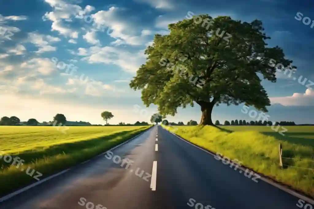 Tabiat yo'l manzarasi tashqi havo | Nature road landscape outdoors
