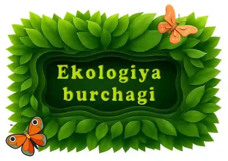 Ekologiya burchagi