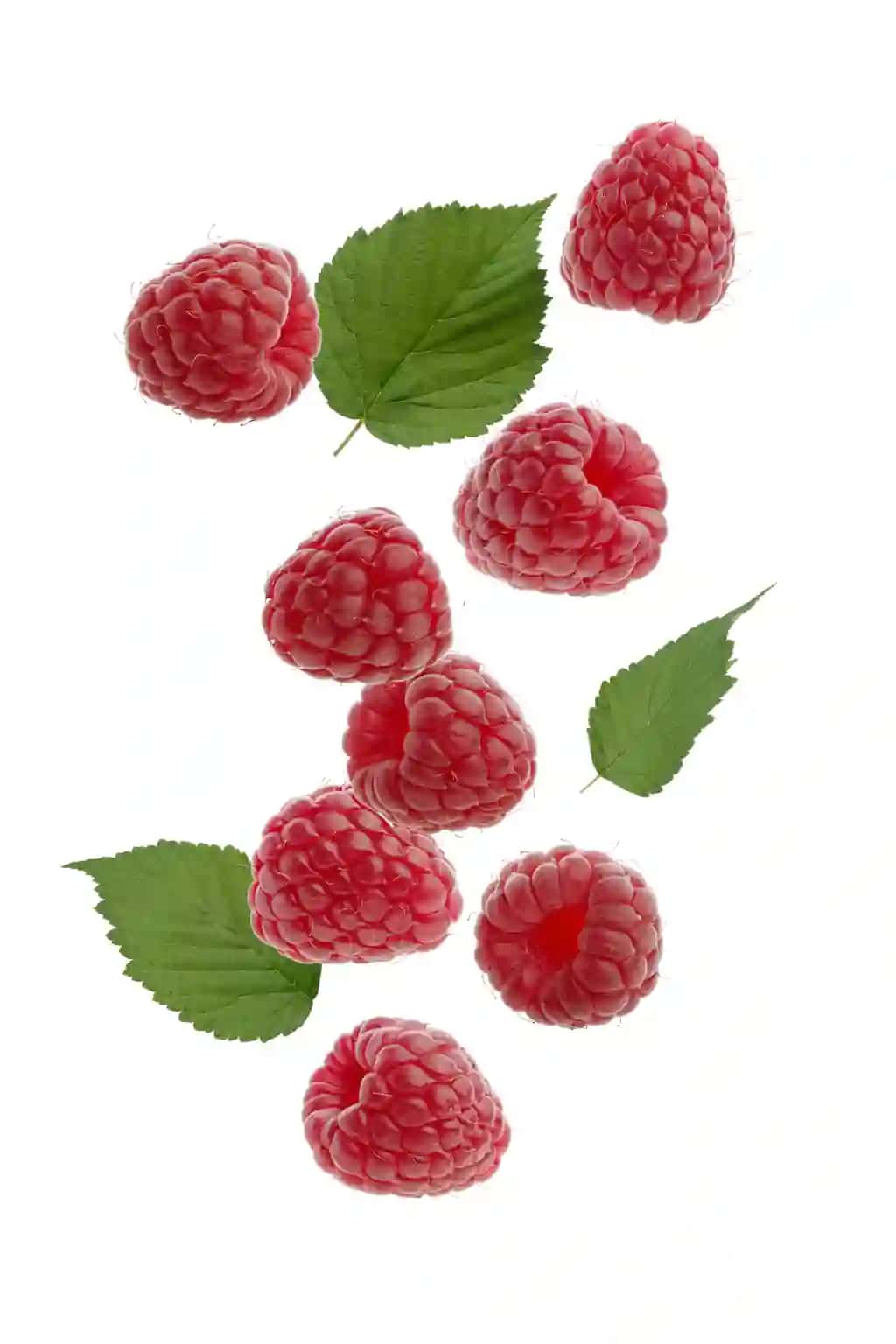 Yashil barglari oq rangli fonda malina | Raspberry with green leaves white isolated background