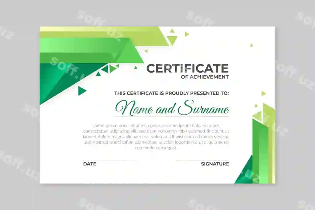 Geometrik tushuncha sertifikati | Geometrical concept certificate