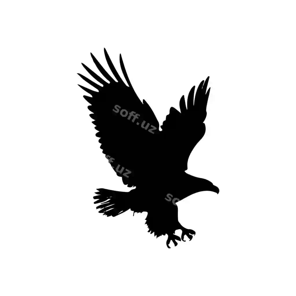 Boshsiz burgut vektor siluet dizayn uslubi boshsiz burgut vektor logotip dizayni | Bald eagle vector silhouette design style bald vector logo design