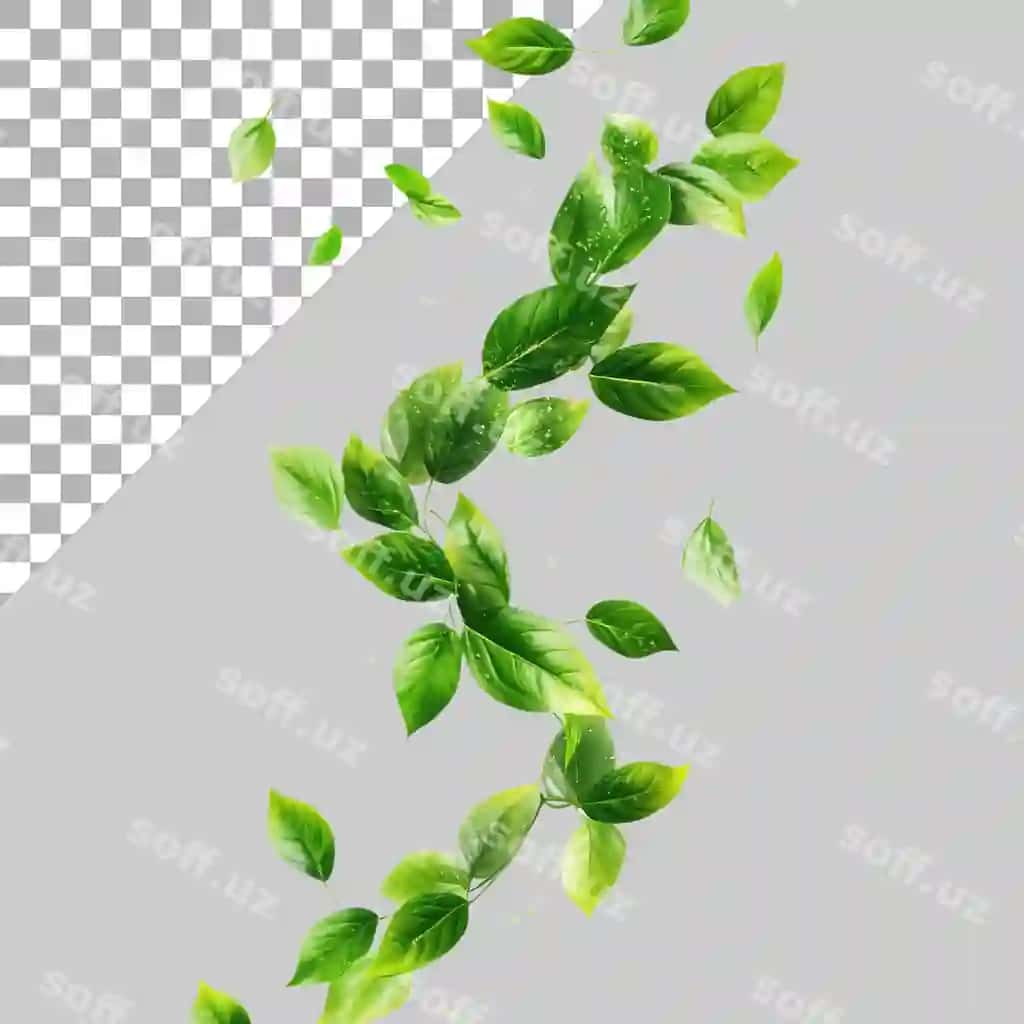 Yoshil ochiq fon orqali aylanib o'tuvchi yangi barglar | Greenery freshness leaves twist flowing air cutout transparent background