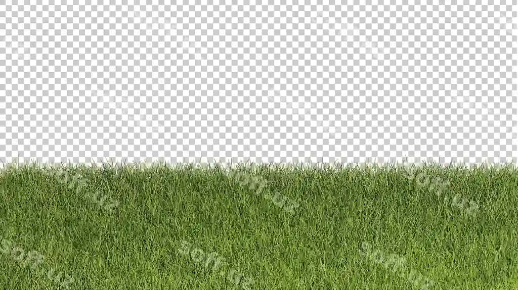 Chaman kesilgan 3d render illustratsiyasi | Grass cutout 3d rendering illustration