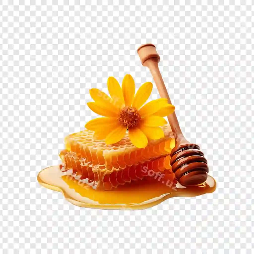 Shaffof fonda sariq gulli yangi chuqurchalar | Fresh honeycomb with yellow flower isolated transparent background