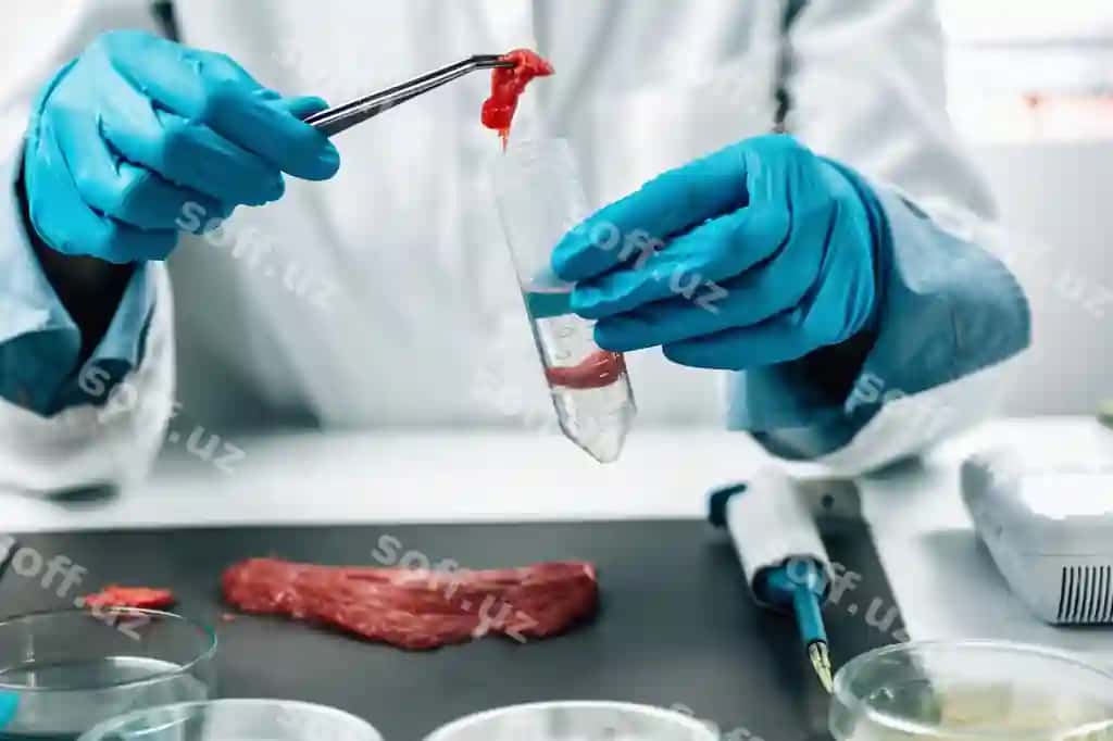 Hovo qizil go'sht ovqat xavfsizligi laboratoriya sinovi | Raw red meat food safety laboratory inspection