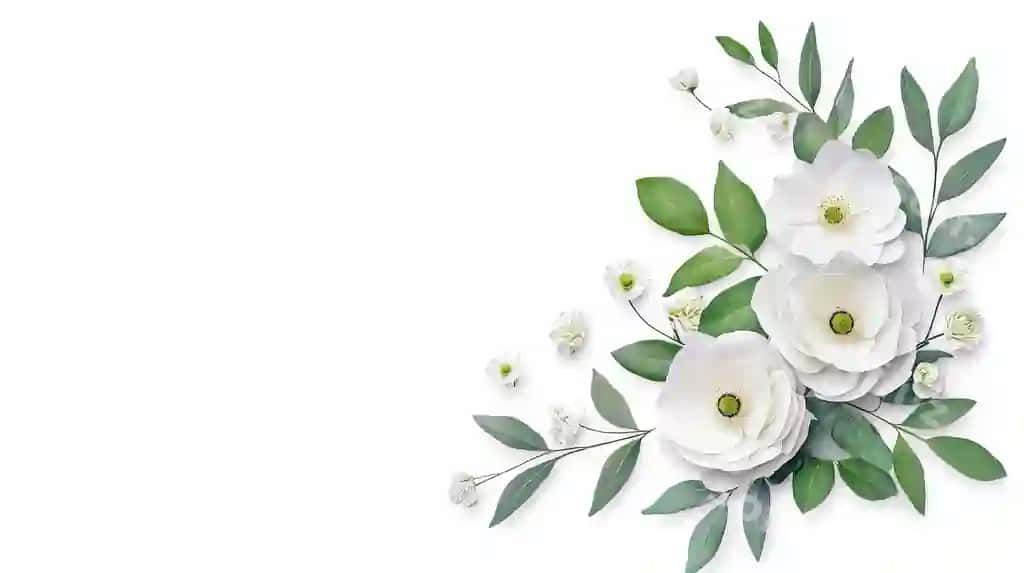 Oq gullar burchak chegara dizayni oq orqa fon | White flowers corner border design white background