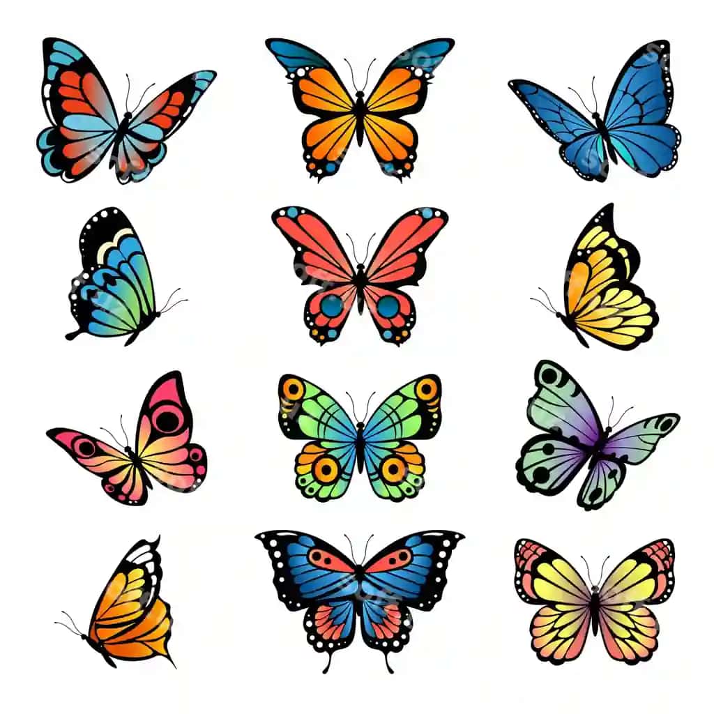 Turli xil kartun parvozdalar to'plam illustratsiyalari parvozdalar | Various cartoon butterflies set illustrations butterflies