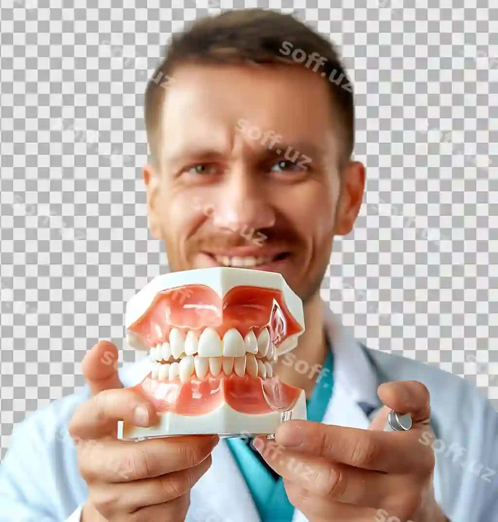 Erkak stomatolog katta bitta modelini qo'lida tutgan, shaffof fon orqali ajralangan | Male dentist doctor holding big jaw model his hand isolated transparent
