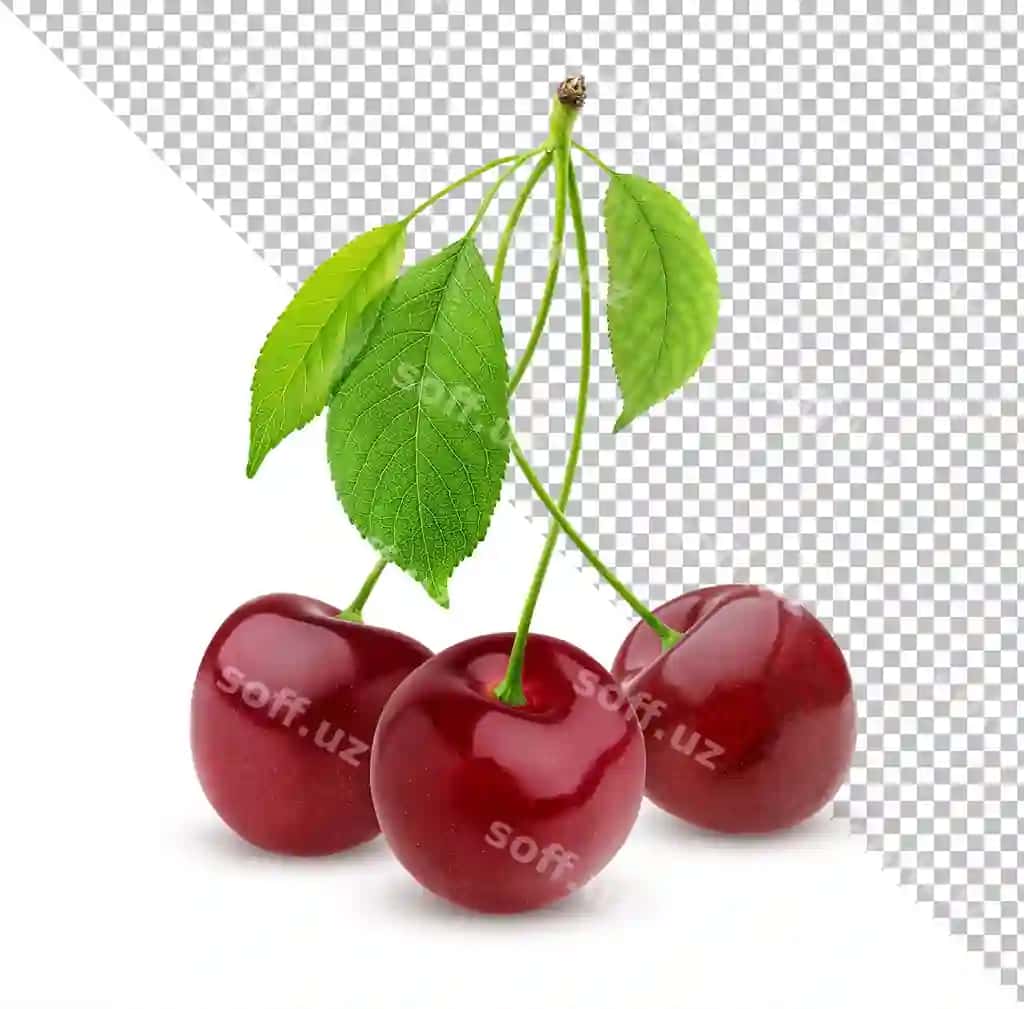 Gilakka ajraltirilgan oq fon | Cherry isolated white background