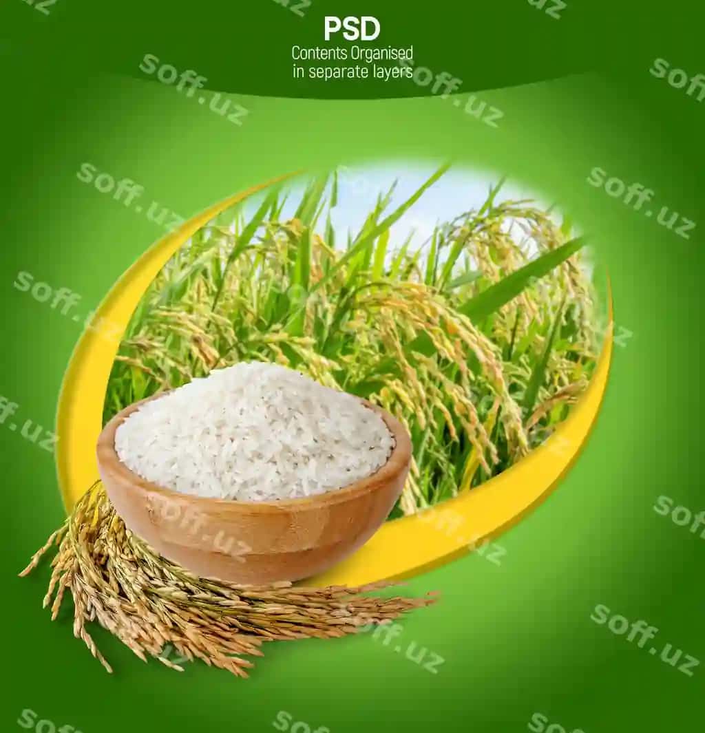 Guruch urug‘lari qadoqlash dizayni shabloni | Rice paddy seeds packaging design template