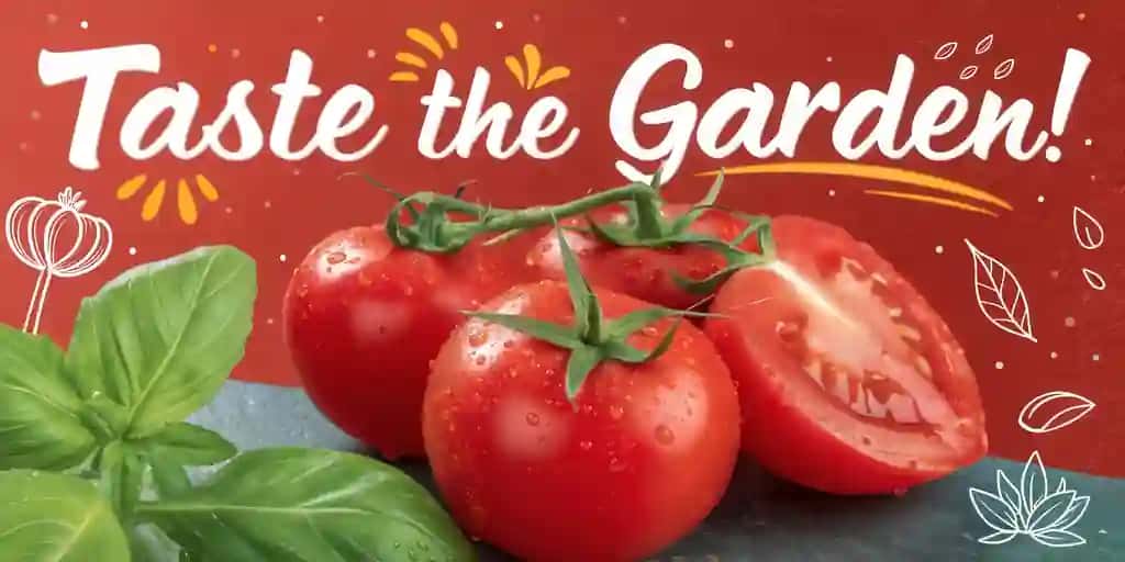Yangi pomidor rayhon jonli fon bilan ta'mi bog'i | Taste garden with fresh tomatoes basil vibrant background
