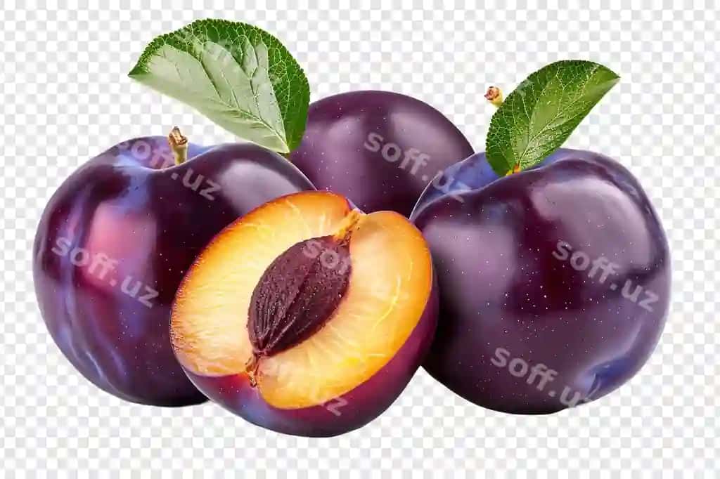 Ajraltirilgan olchalar shaffof orqa fonda | Plums isolated transparent background