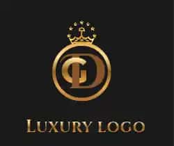 professional Logo dizayn