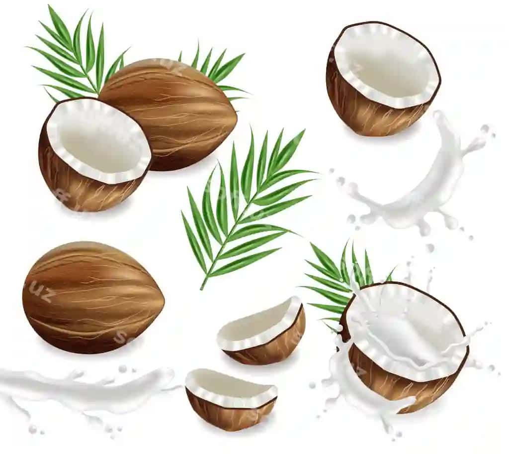 Kokos suvi bilan to'ldirilgan | Coconuts with splash collection