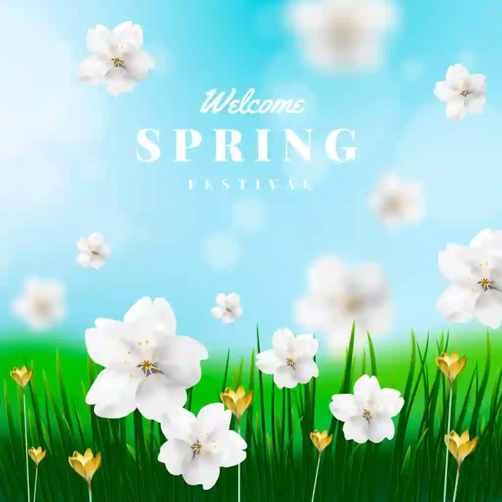 Haqiqiy bahor tasviri | Realistic spring illustration