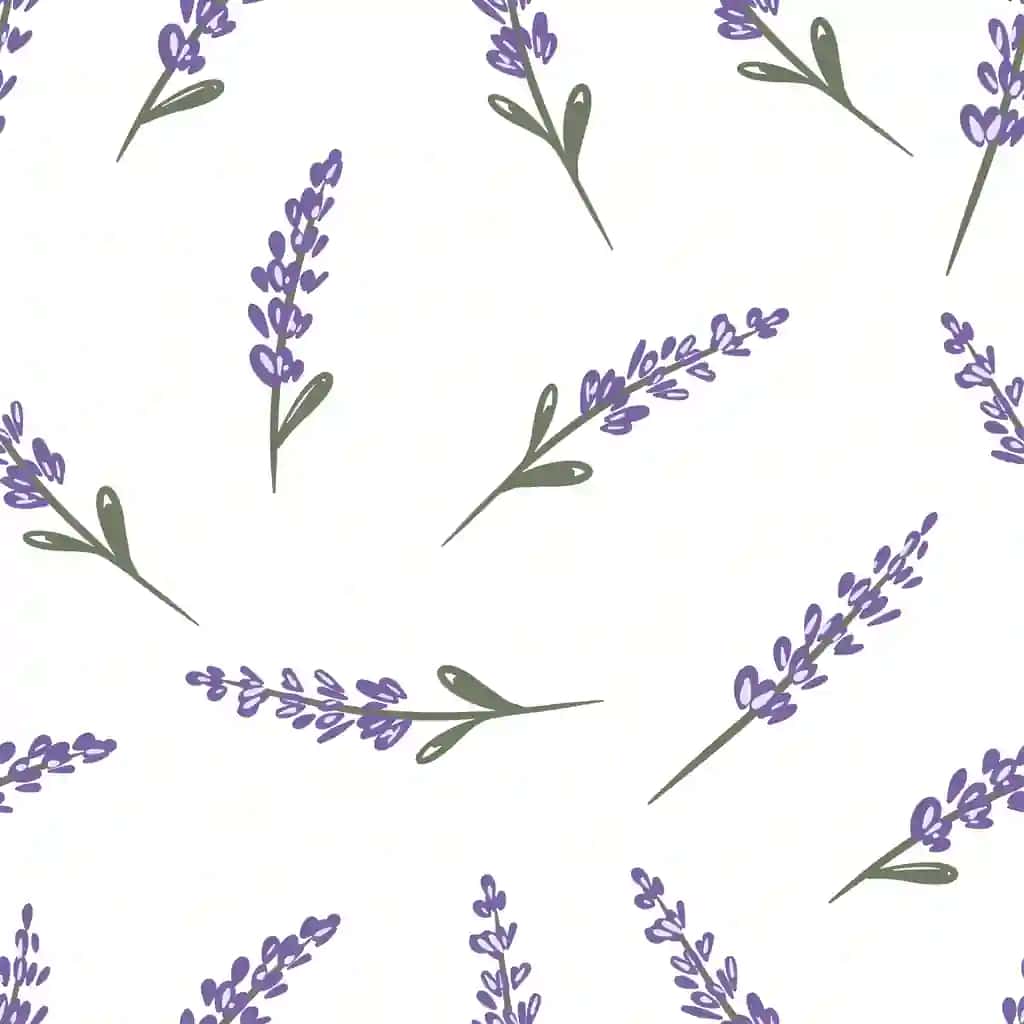 Qo'lda chizilgan dizayn choksiz naqsh lavanta novdalari oq fon bilan | Hand drawn design seamless pattern with lavender sprigs white background