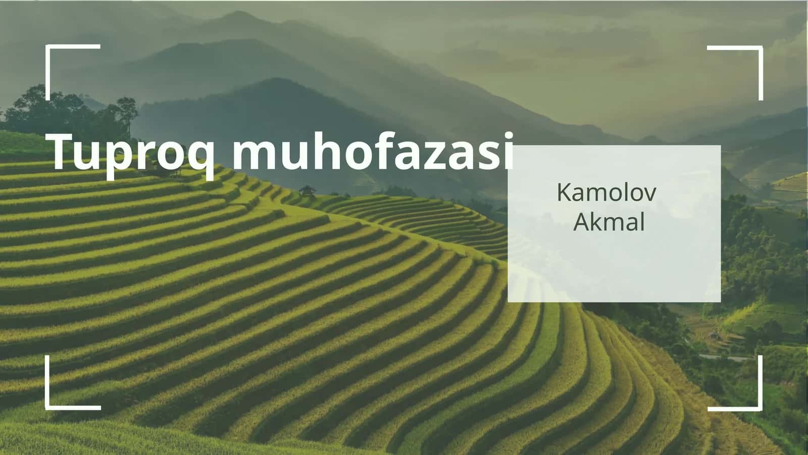 Tuproq muhofazasi