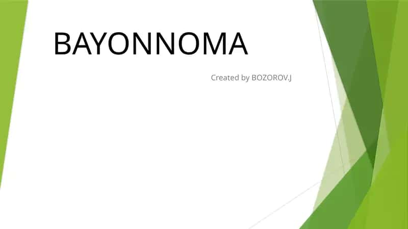Bayonnoma haqida