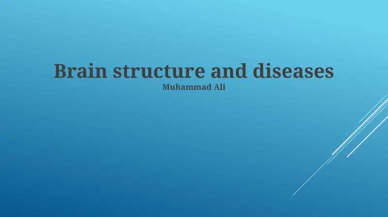 Brain structure and diseases