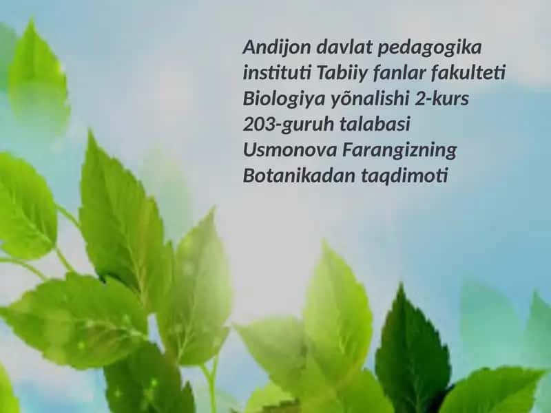 Botanika darsi tahlili