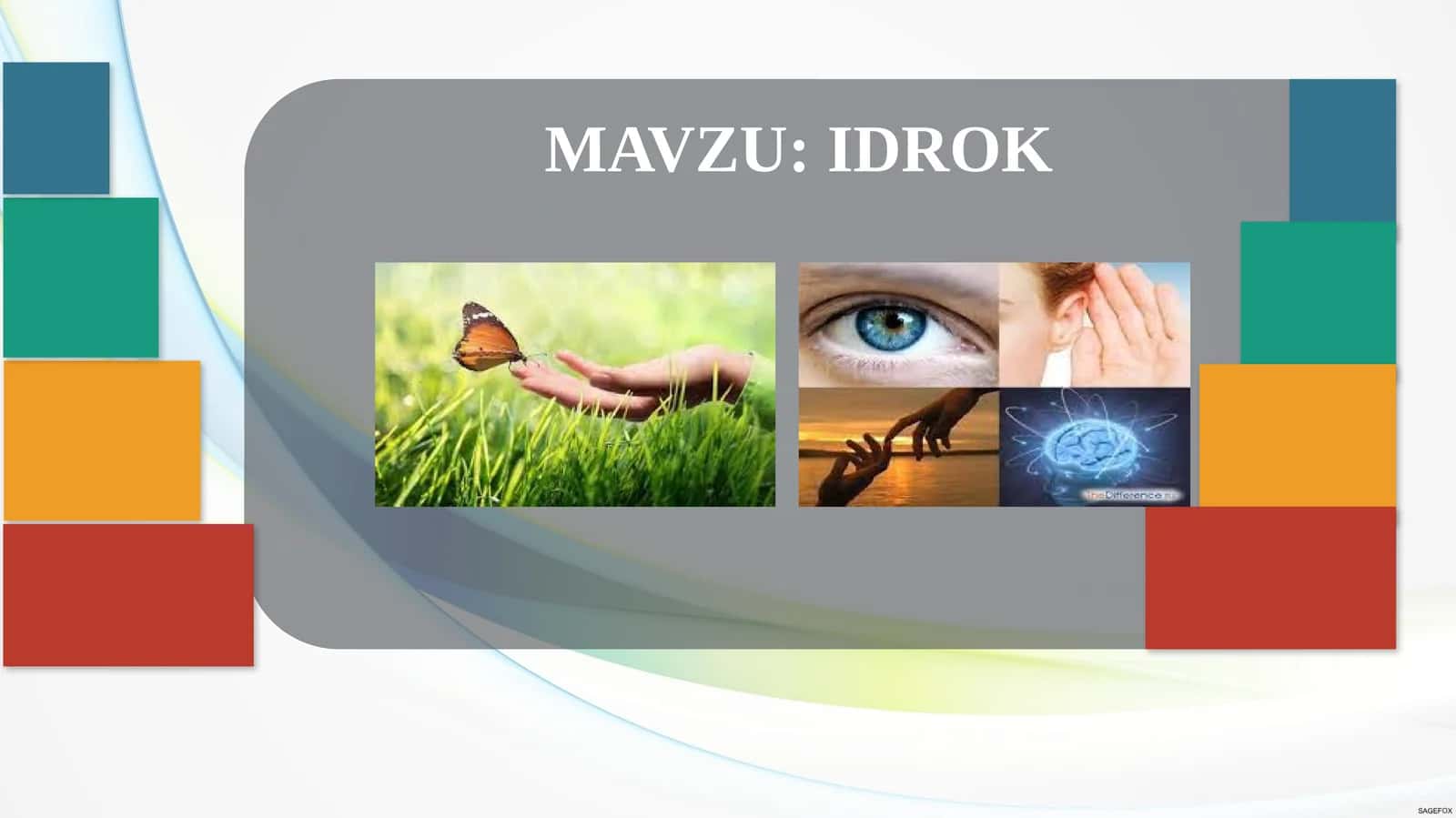IDROK