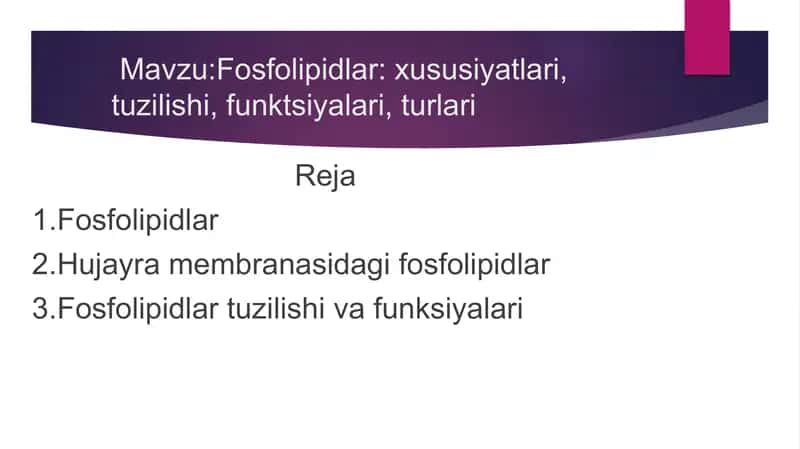 Fosfolipidlar