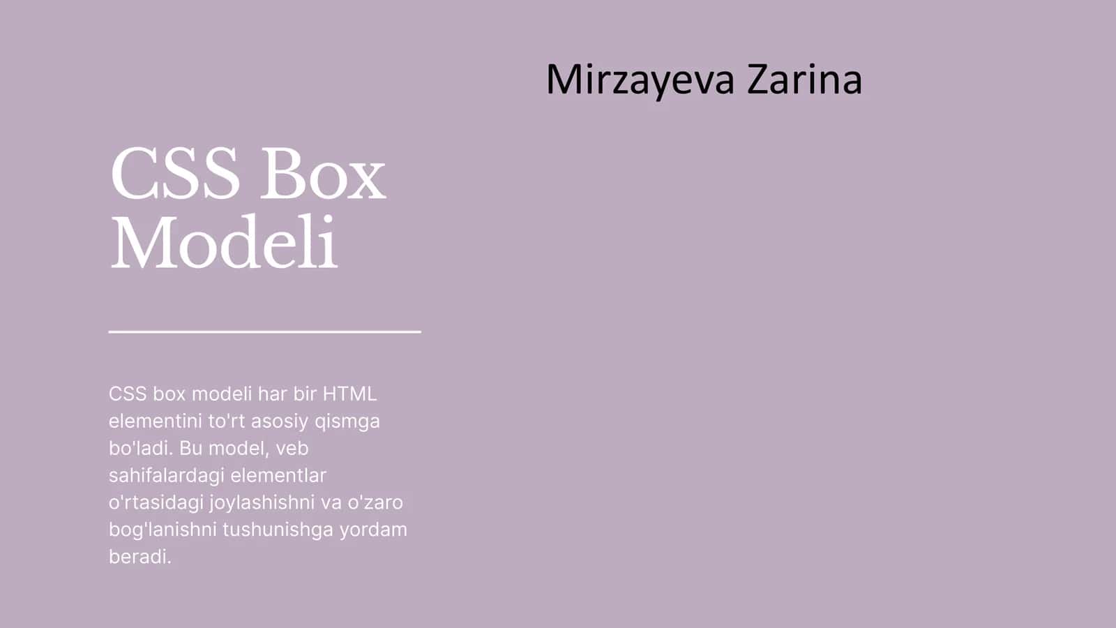 CSS Box Modeli