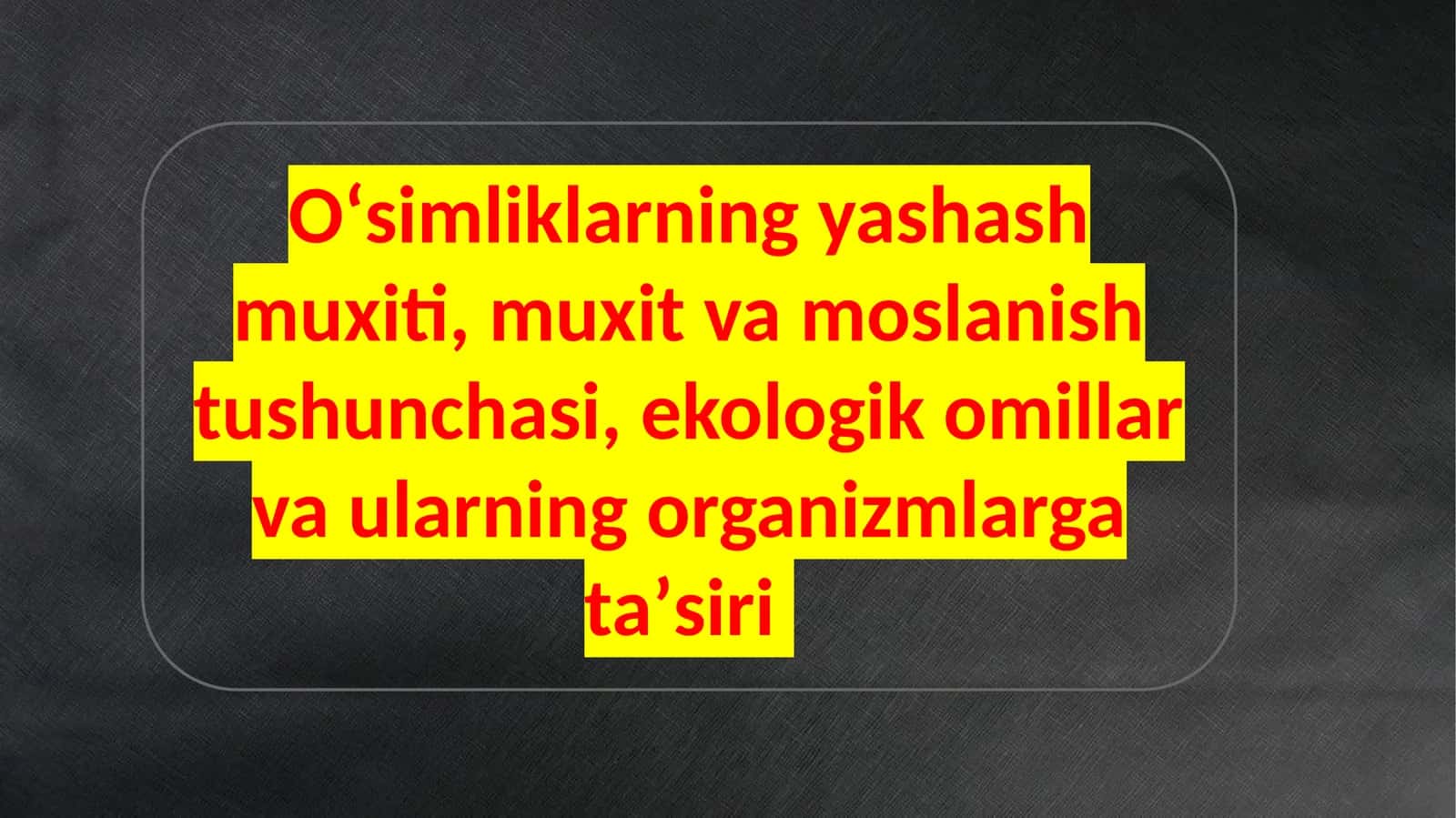 Oʻsimliklar haqida