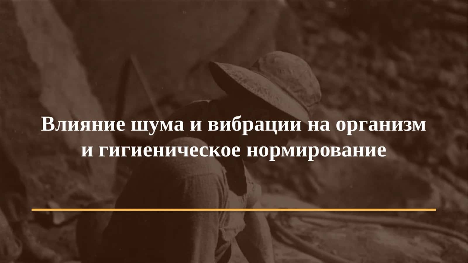 Гигиена. Медицинская экология · Практическое занятие № 23
