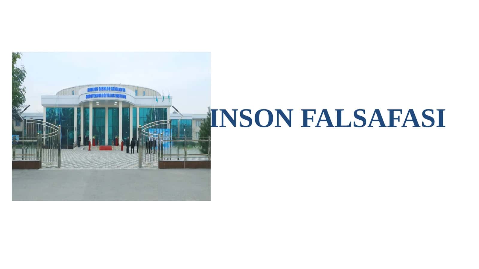 INSON FALSAFASI