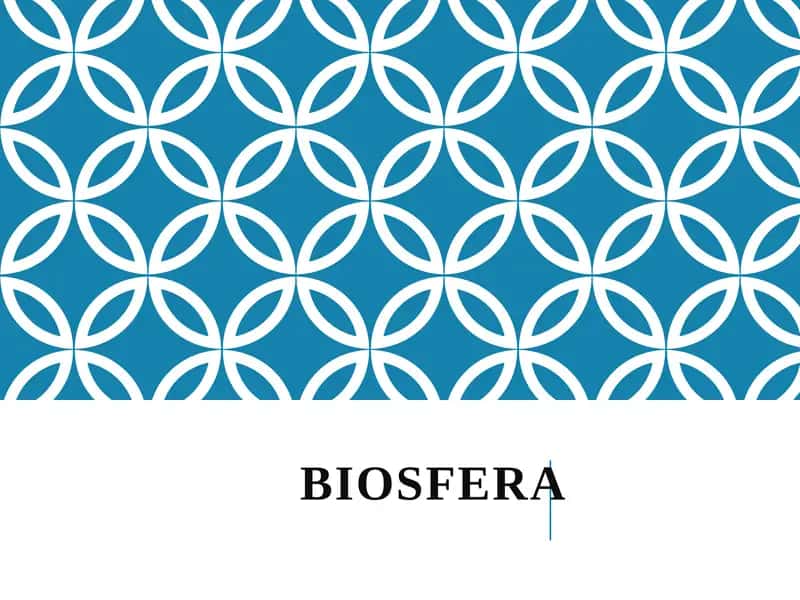 BIOSFERA