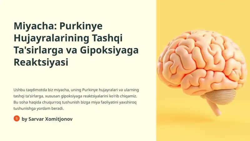 Purkinye Hujayralarining Tashqi Ta'sirlarga va Gipoksiyaga Reaktsiyasi