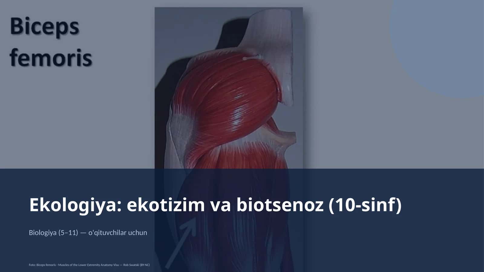 Ekologiya: ekotizim va biotsenoz (10-sinf)
