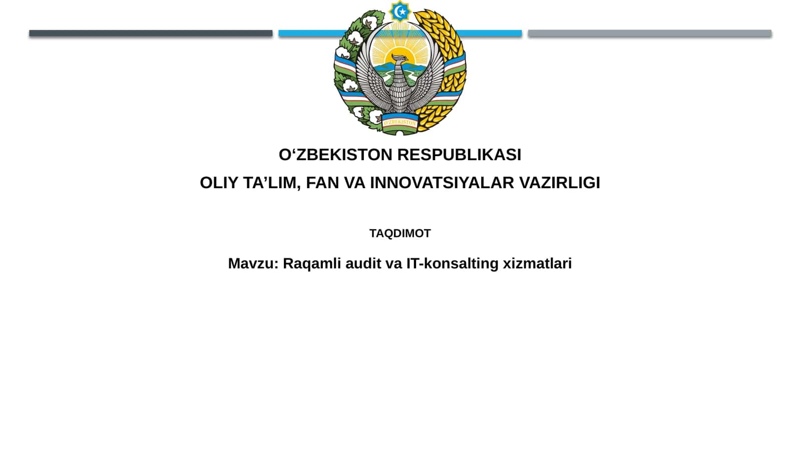 Raqamli audit va IT-konsalting xizmatlari