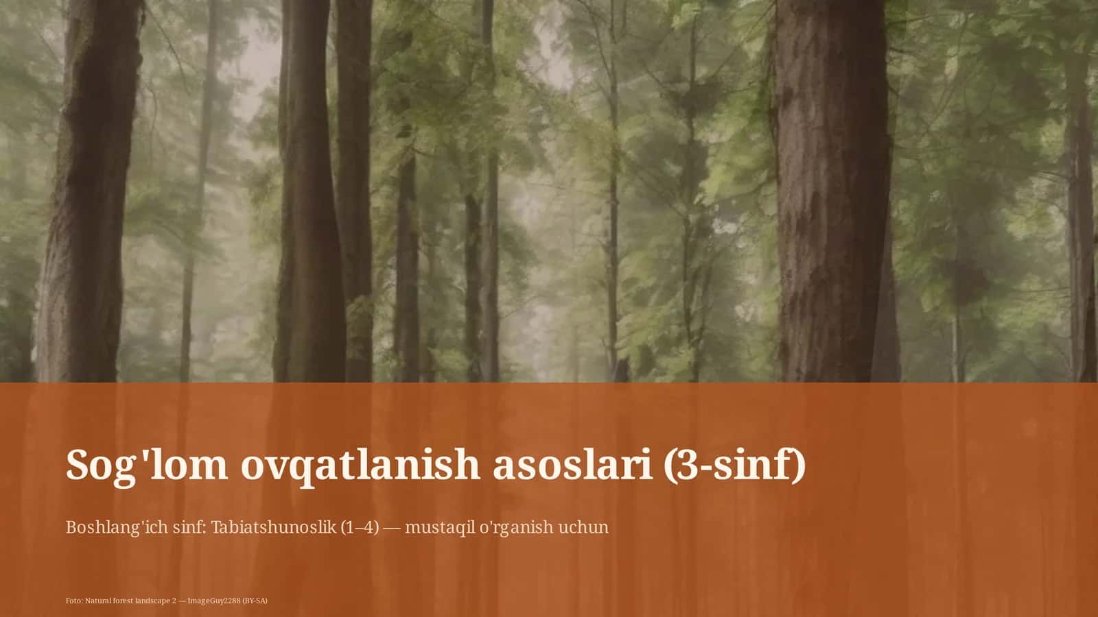 Sog'lom ovqatlanish asoslari (3-sinf)