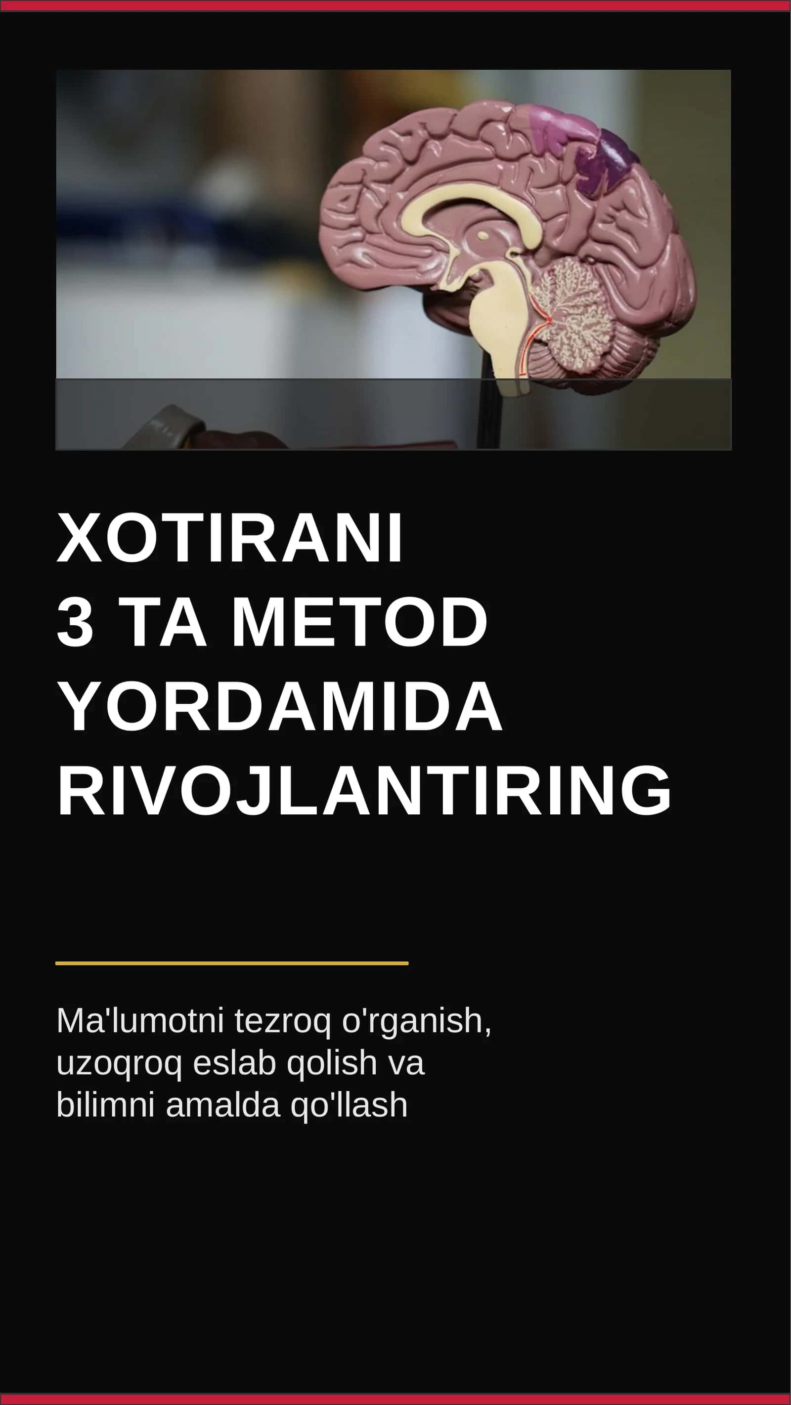 Xotirani 3 ta metod yordamida rivojlantiring