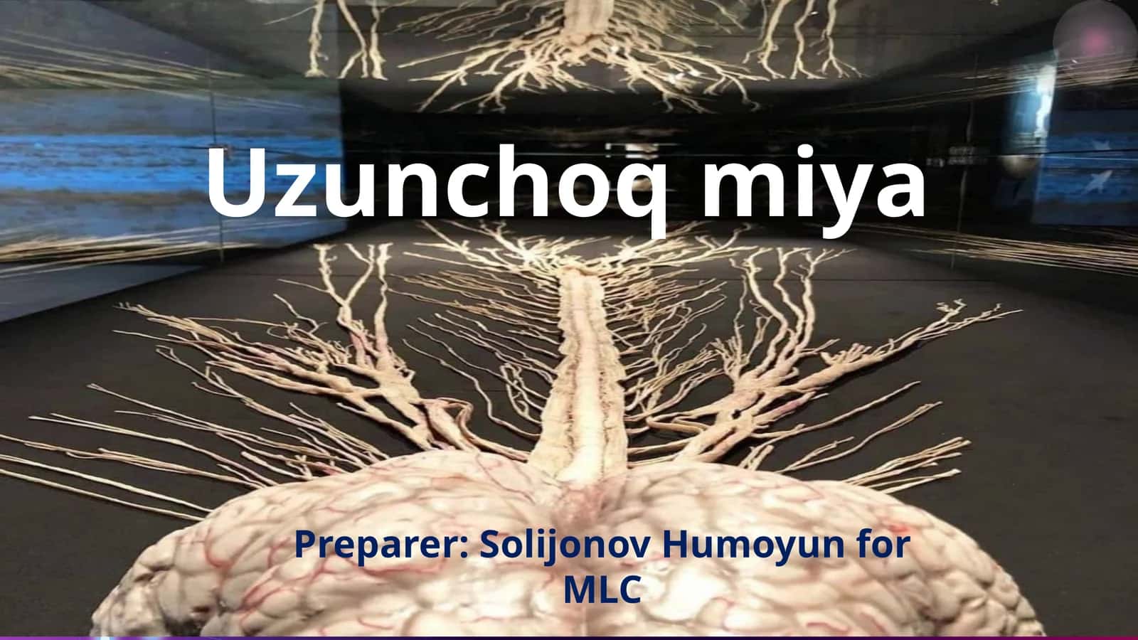 Boshmiyaning rivojlanishi